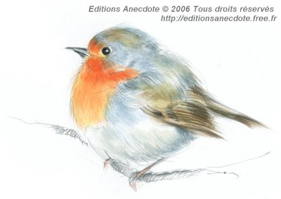 Copyright Editions Anecdote, Cliquer sur l'image pour la voir en plus grand format